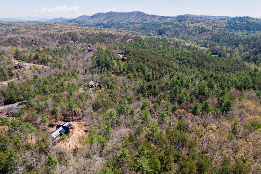 403527 Mineral Bluff Acreage