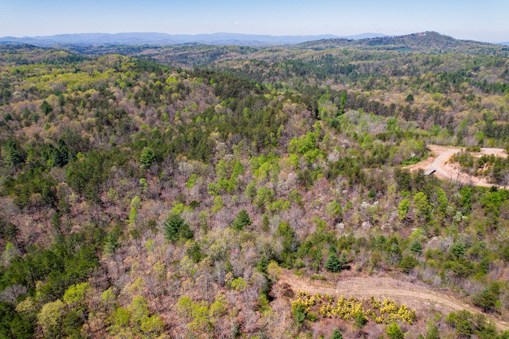 403527 Mineral Bluff Land