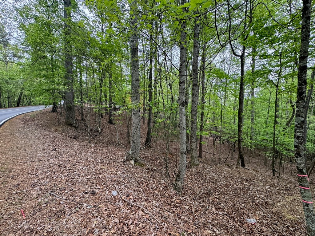 403544 Ellijay Land