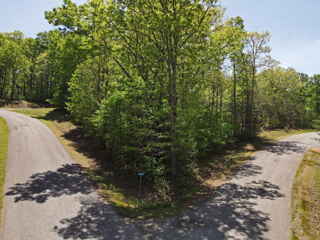 403592 Blairsville Vacant Lot