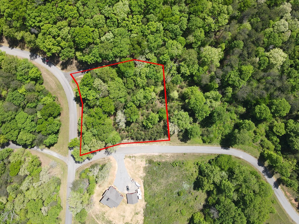 403592 Blairsville Vacant Lot