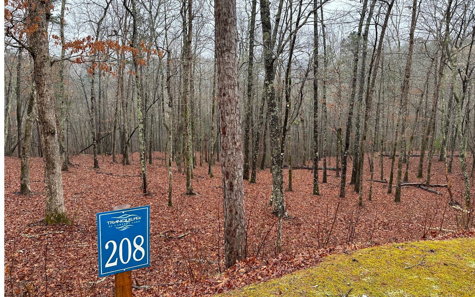 403594 Ellijay Land