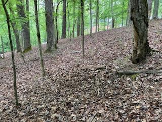 403618 Ellijay Vacant Lot