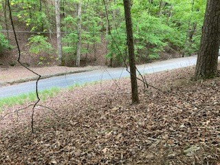 403618 Ellijay Vacant Lot