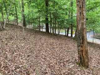 403618 Ellijay Land