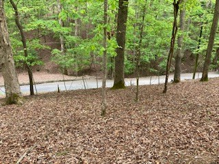 403618 Ellijay Vacant Lot