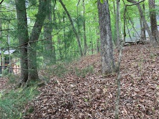 403618 Ellijay Vacant Lot