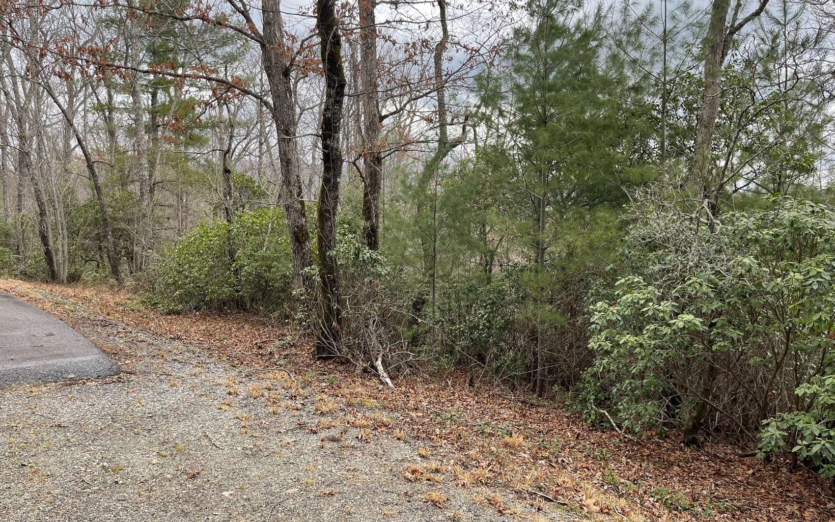 403655 Hayesville Vacant Lot