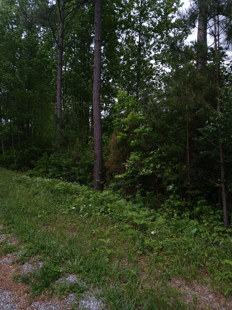 403706 Ellijay Land