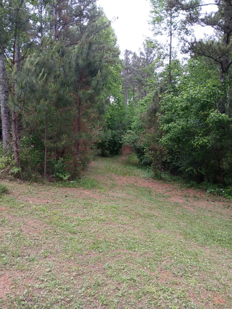 403706 Ellijay Land