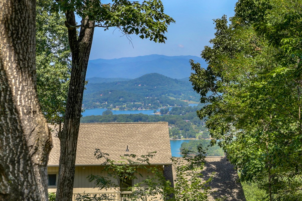 403738 Hayesville Residential