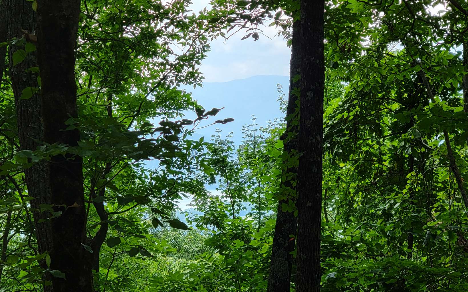 403752 Hayesville Land