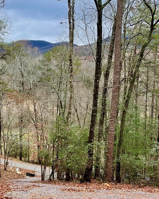 403763 Ellijay Land