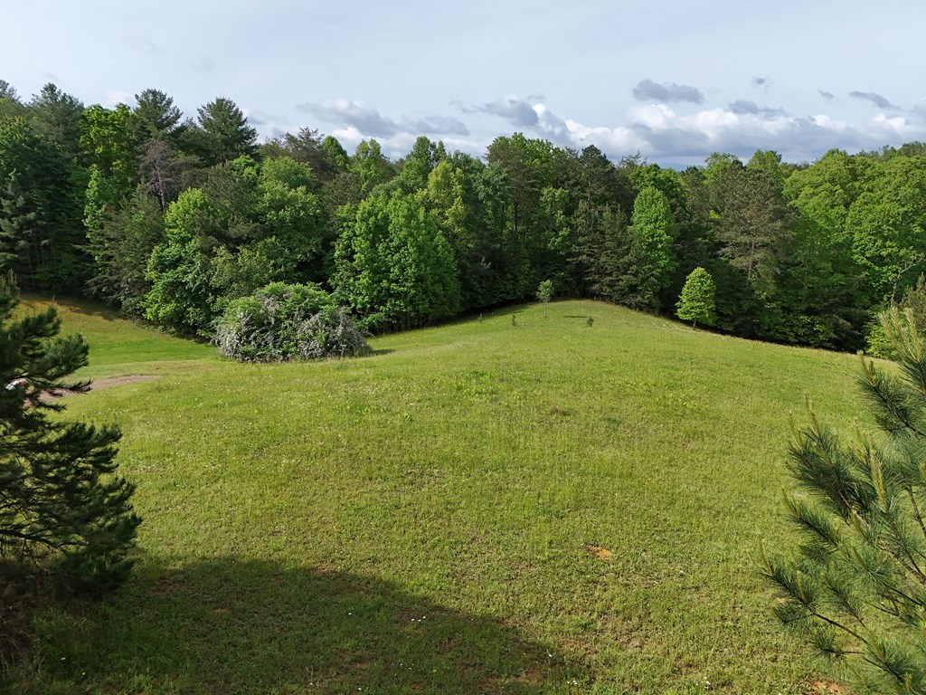 403786 Morganton Land