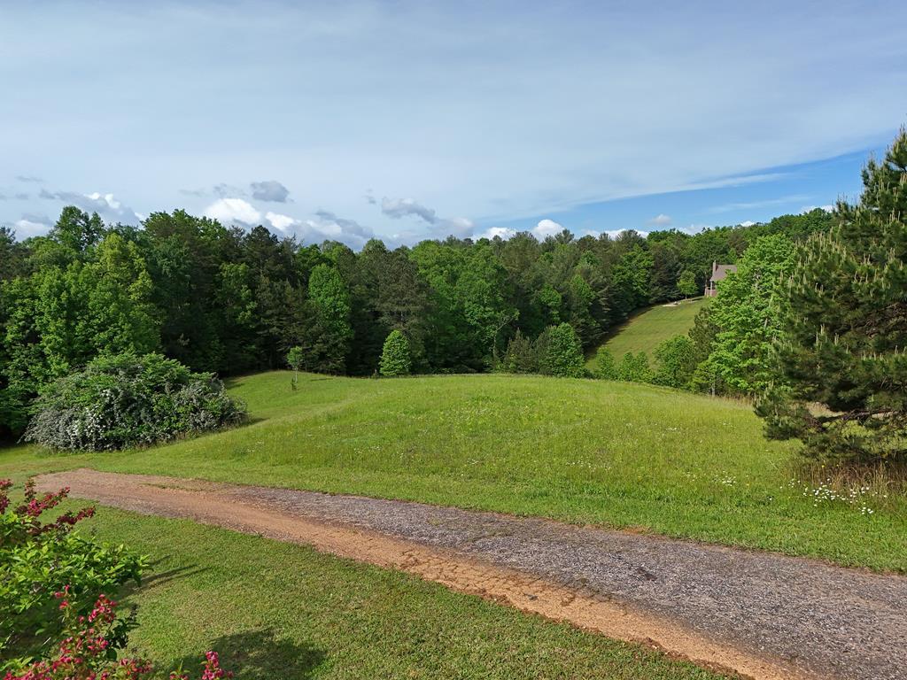 403786 Morganton Land