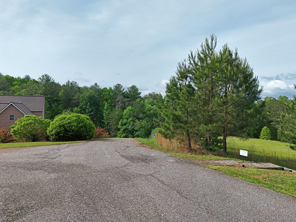 403786 Morganton Land