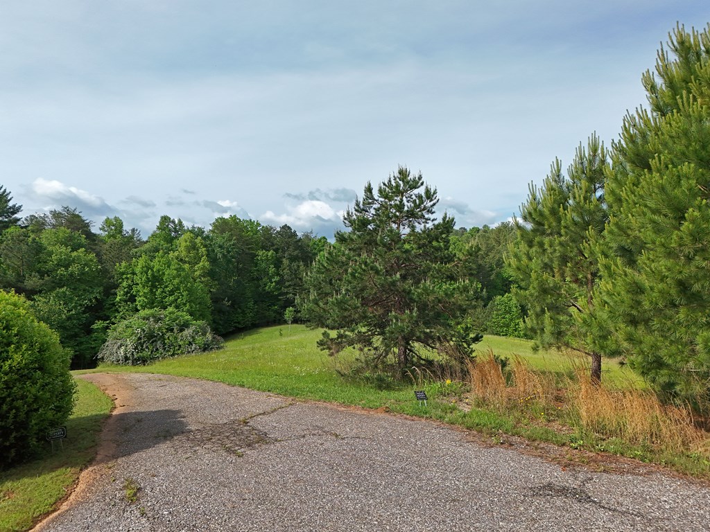 403786 Morganton Land