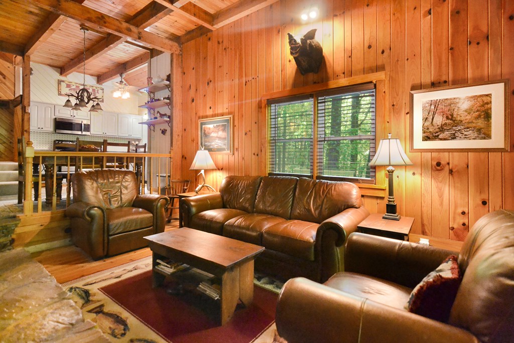 403847 Ellijay Residential