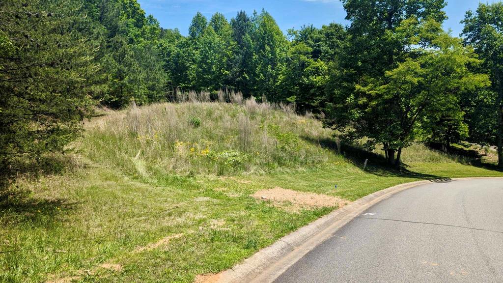 403848 Blairsville Land