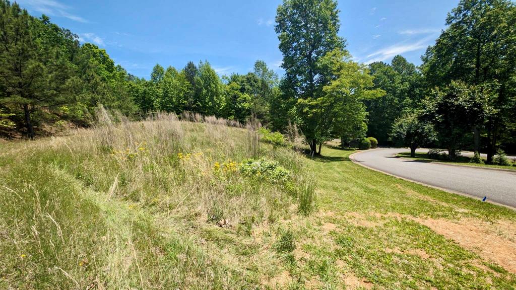 403848 Blairsville Land