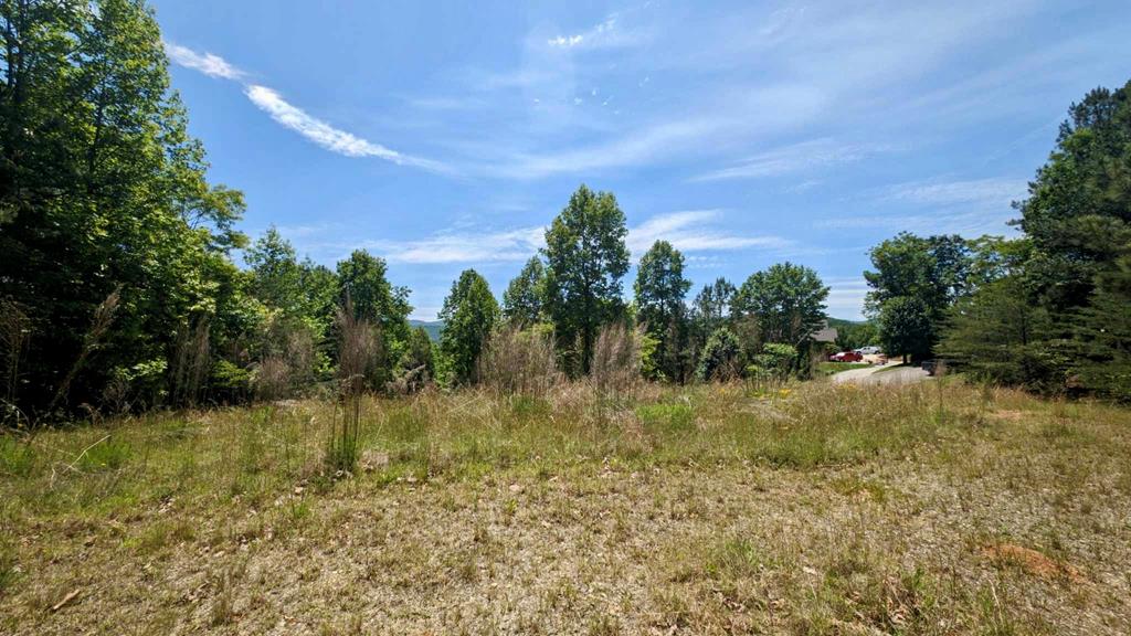 403848 Blairsville Land