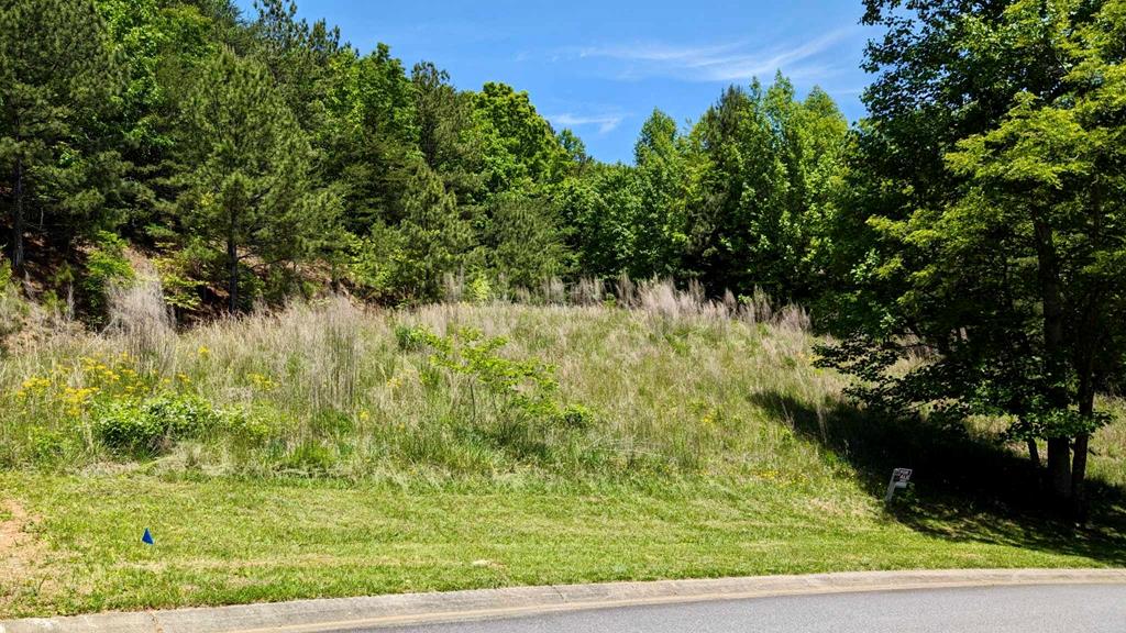 403848 Blairsville Land