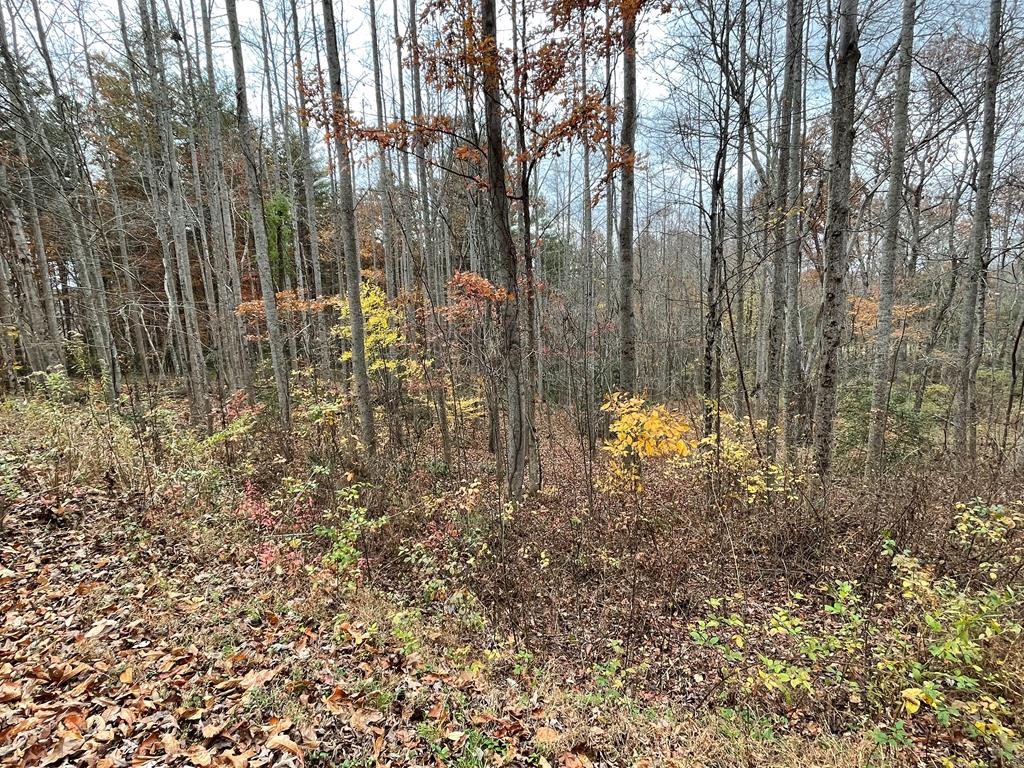 403849 Blairsville Land