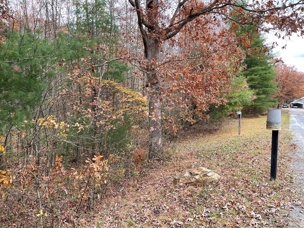 403849 Blairsville Land