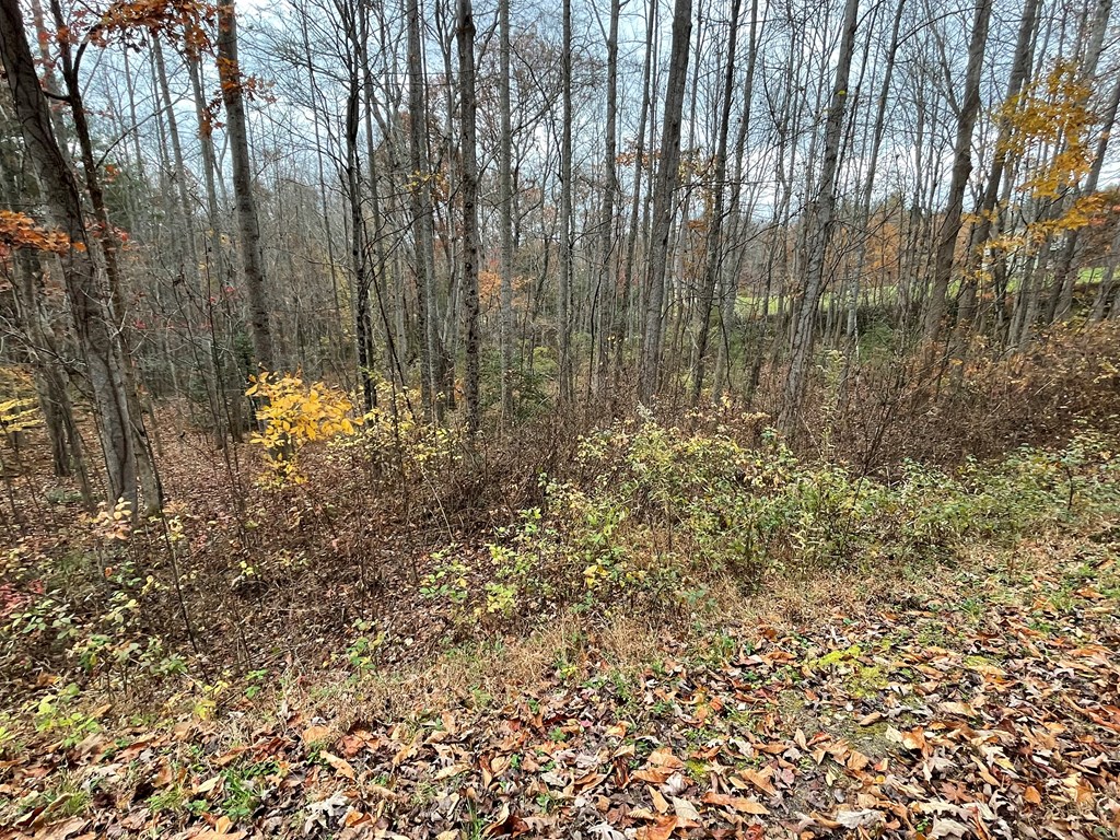 403849 Blairsville Land