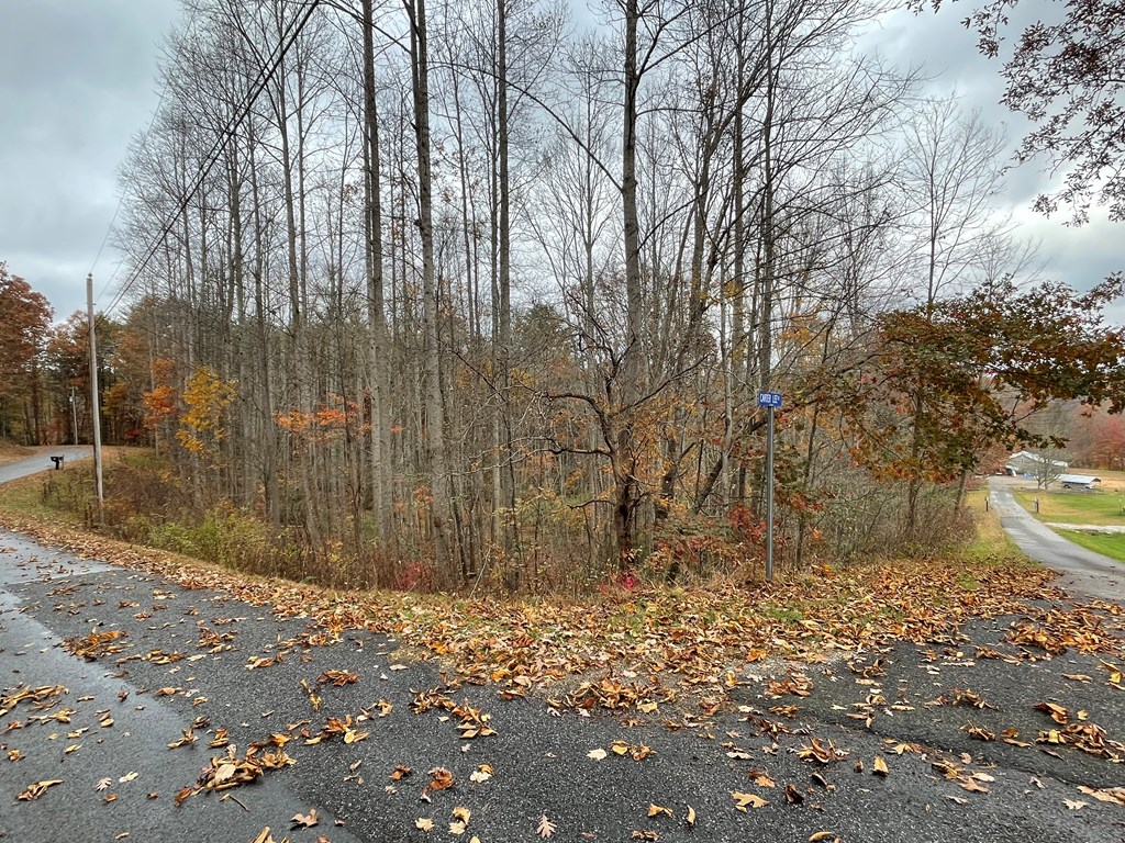 403849 Blairsville Land