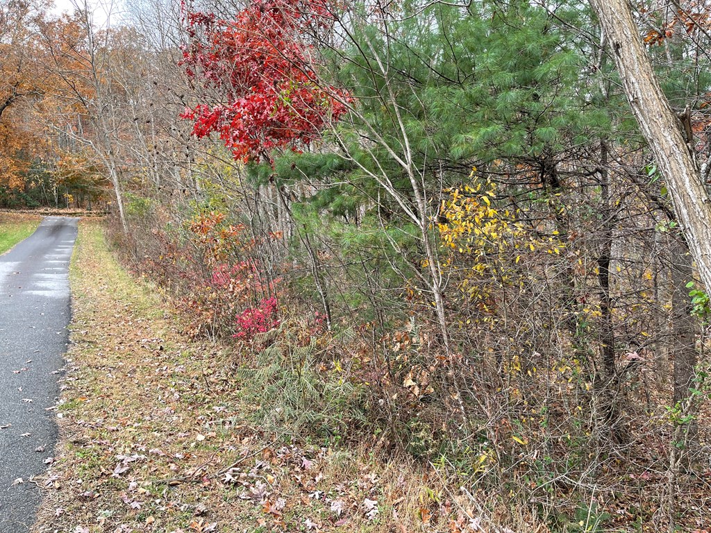 403849 Blairsville Land