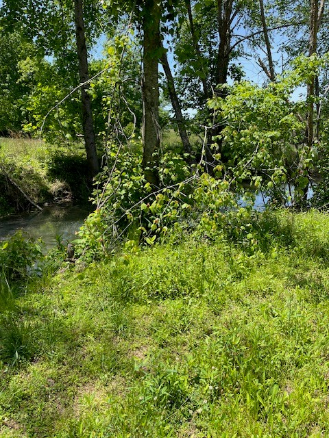 403851 Hiawassee Land