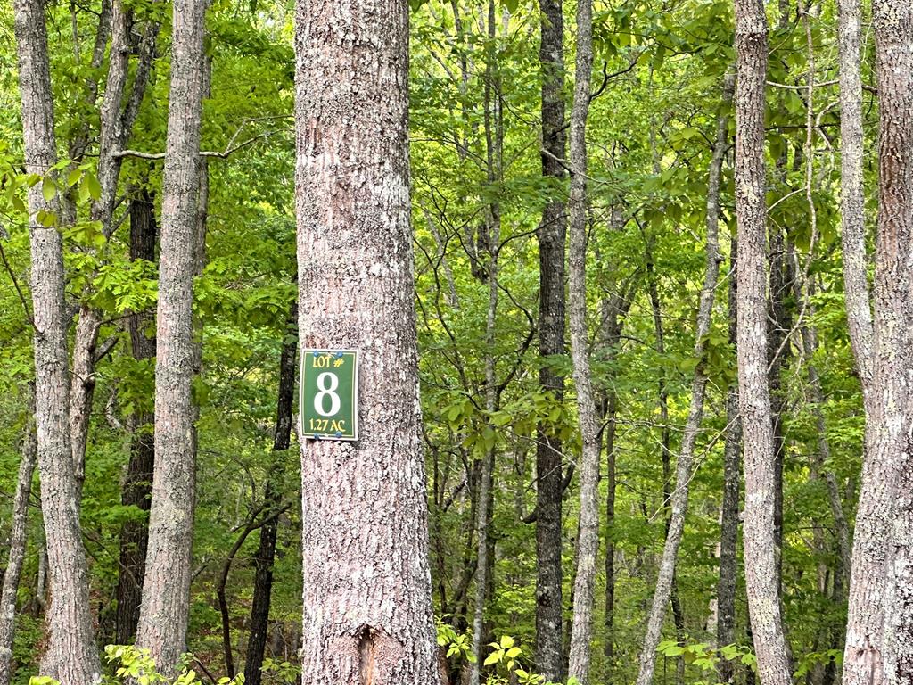 403894 Hayesville Land