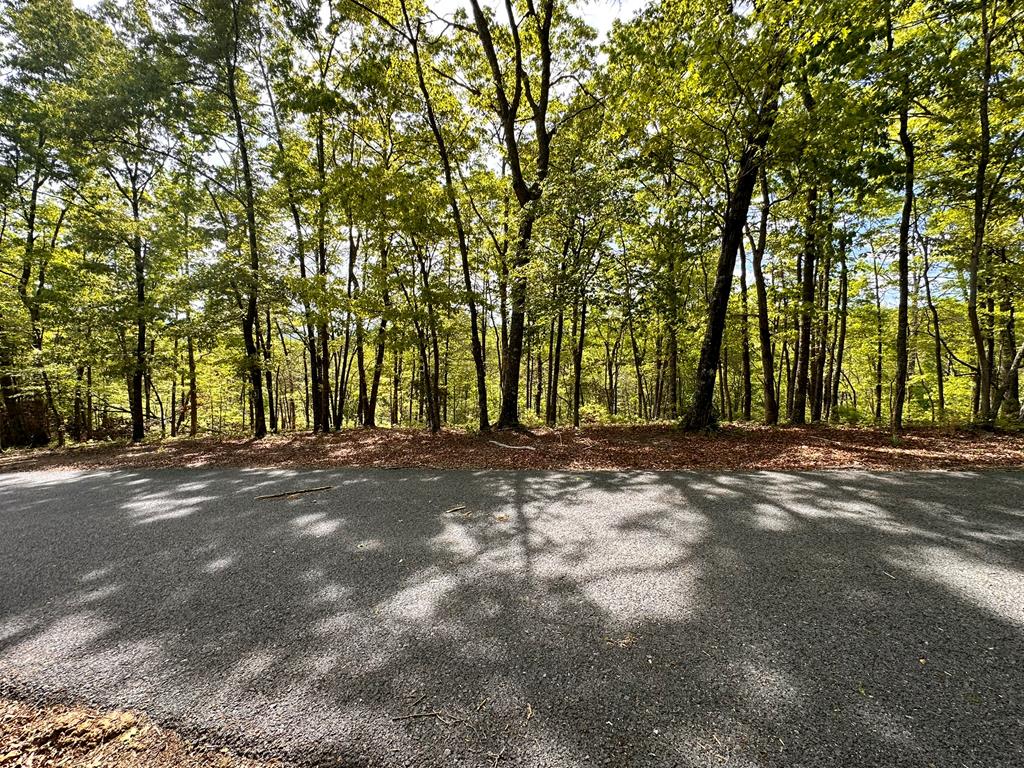 403894 Hayesville Land
