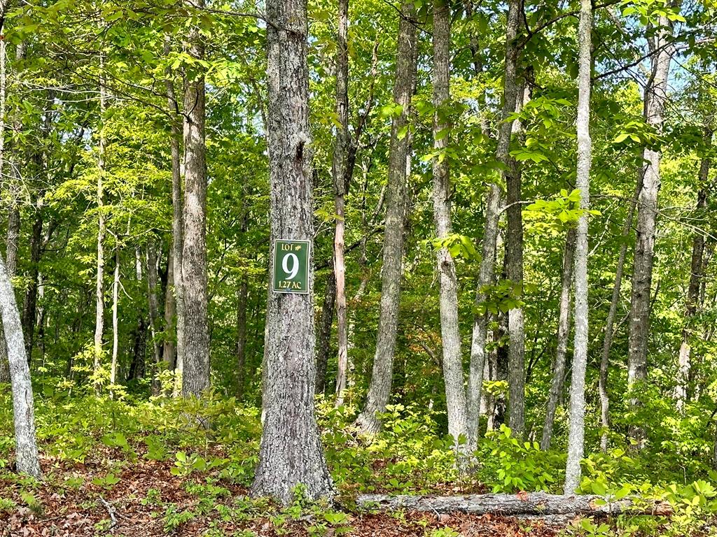 403896 Hayesville Land