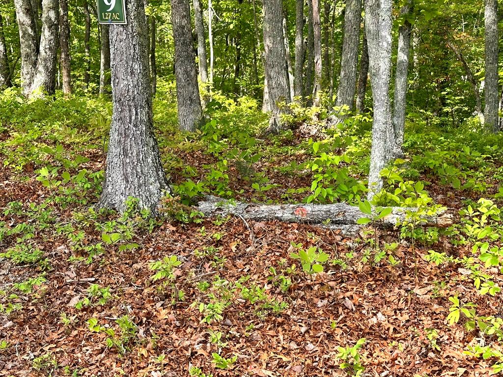 403896 Hayesville Land