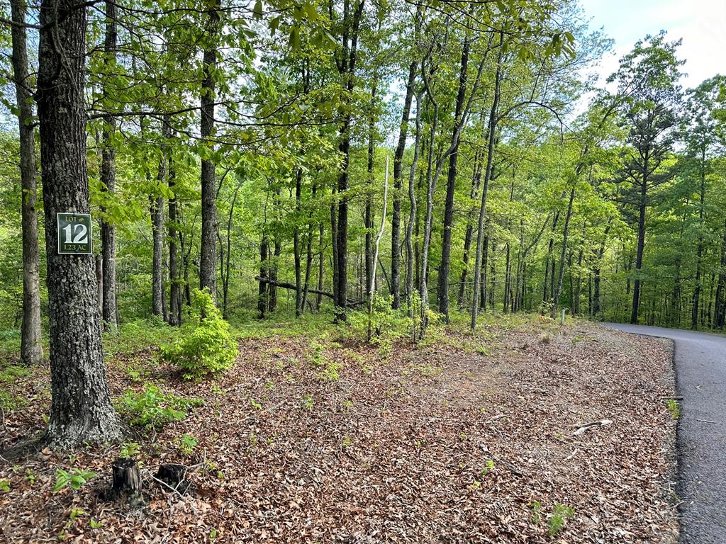 403899 Hayesville Land