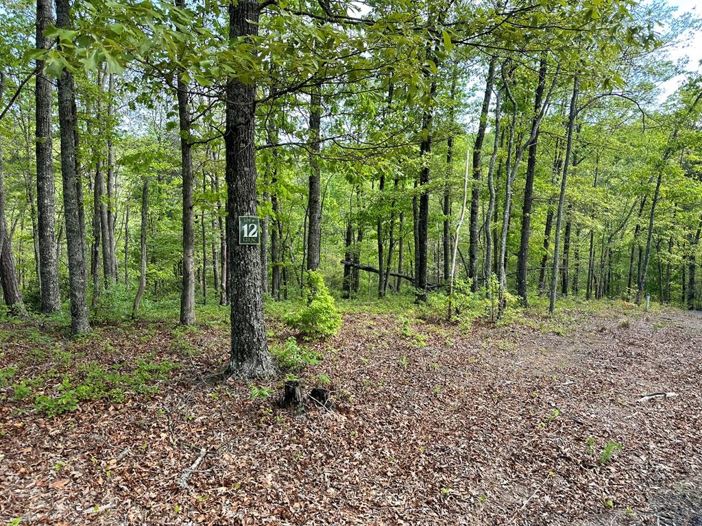 403899 Hayesville Land