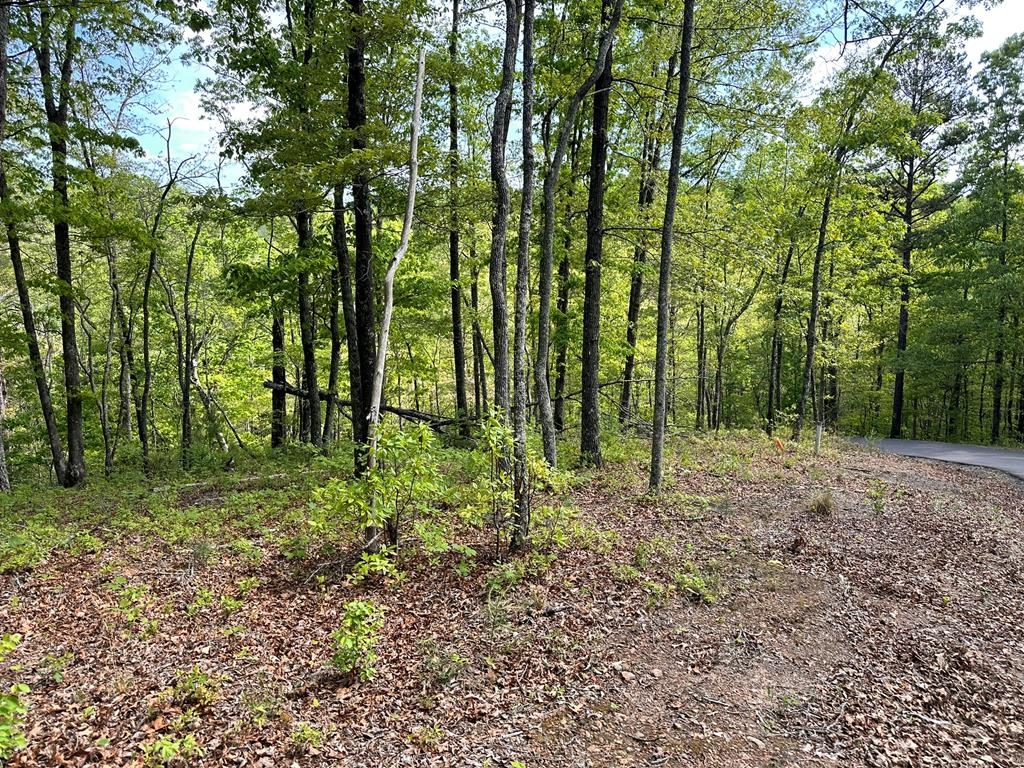 403899 Hayesville Land