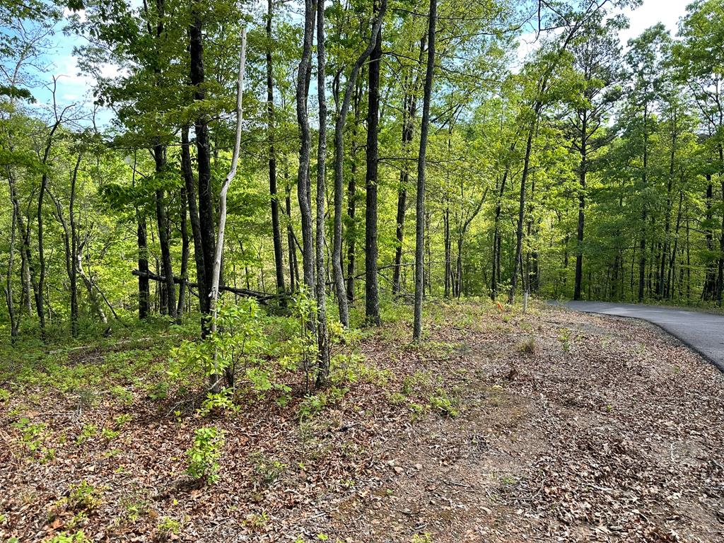403899 Hayesville Land