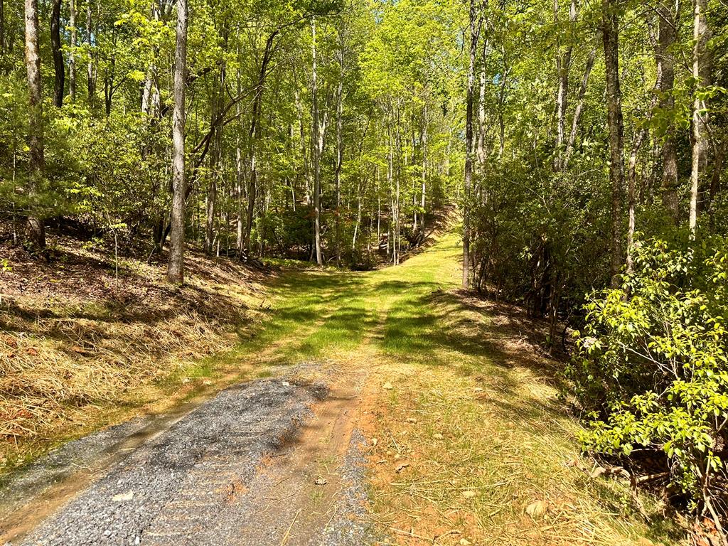 403900 Hayesville Land