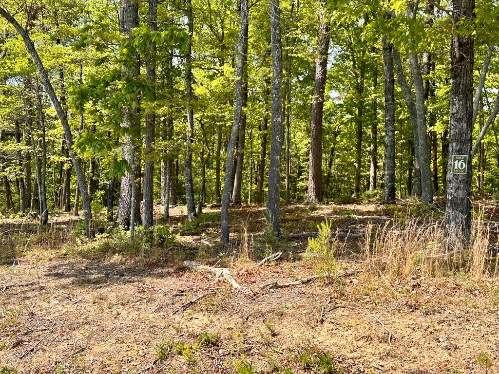 403901 Hayesville Land