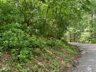 403926 Ellijay Land