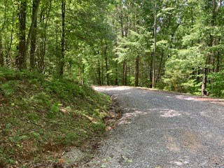 403926 Ellijay Land