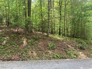 403926 Ellijay Land