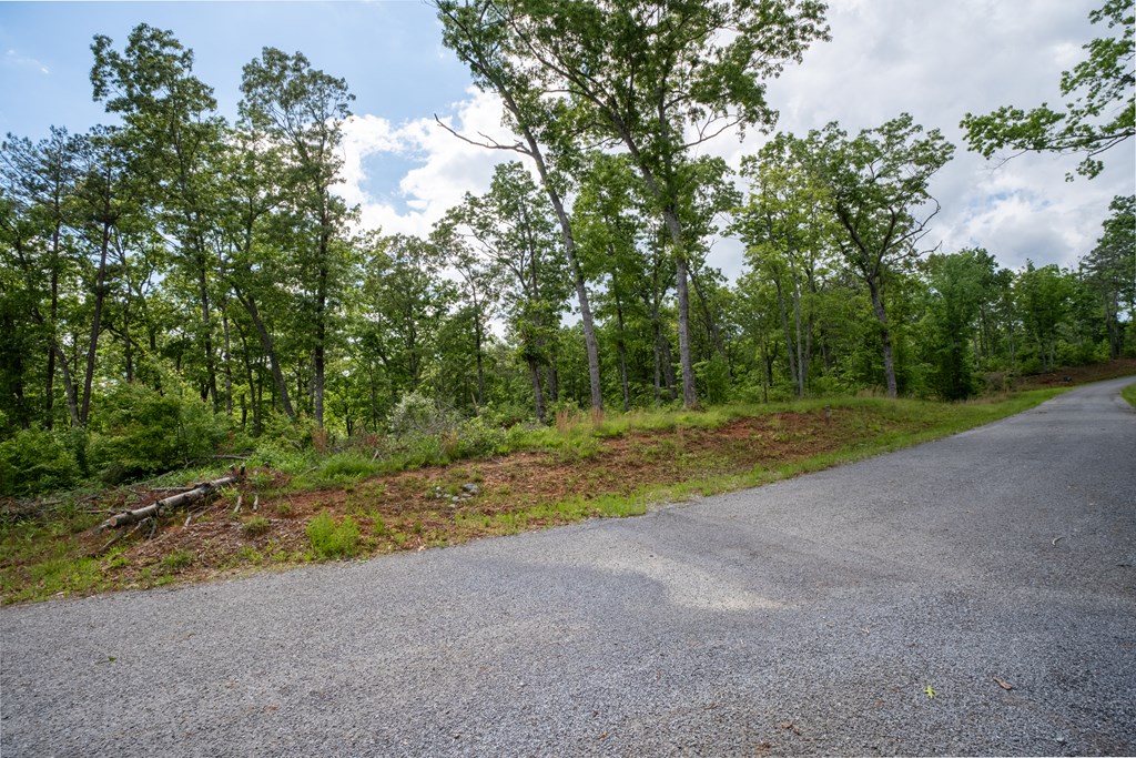 403940 Ellijay Land