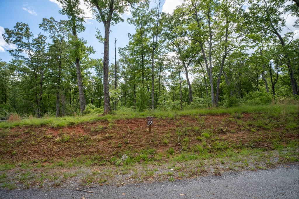 403940 Ellijay Land