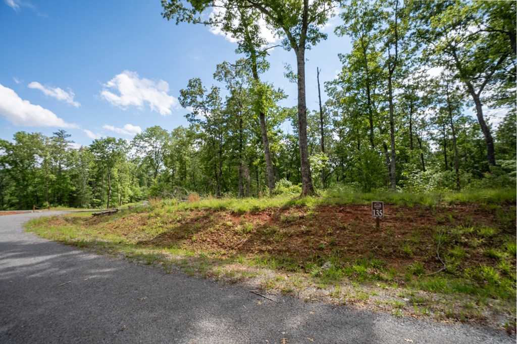 403940 Ellijay Land