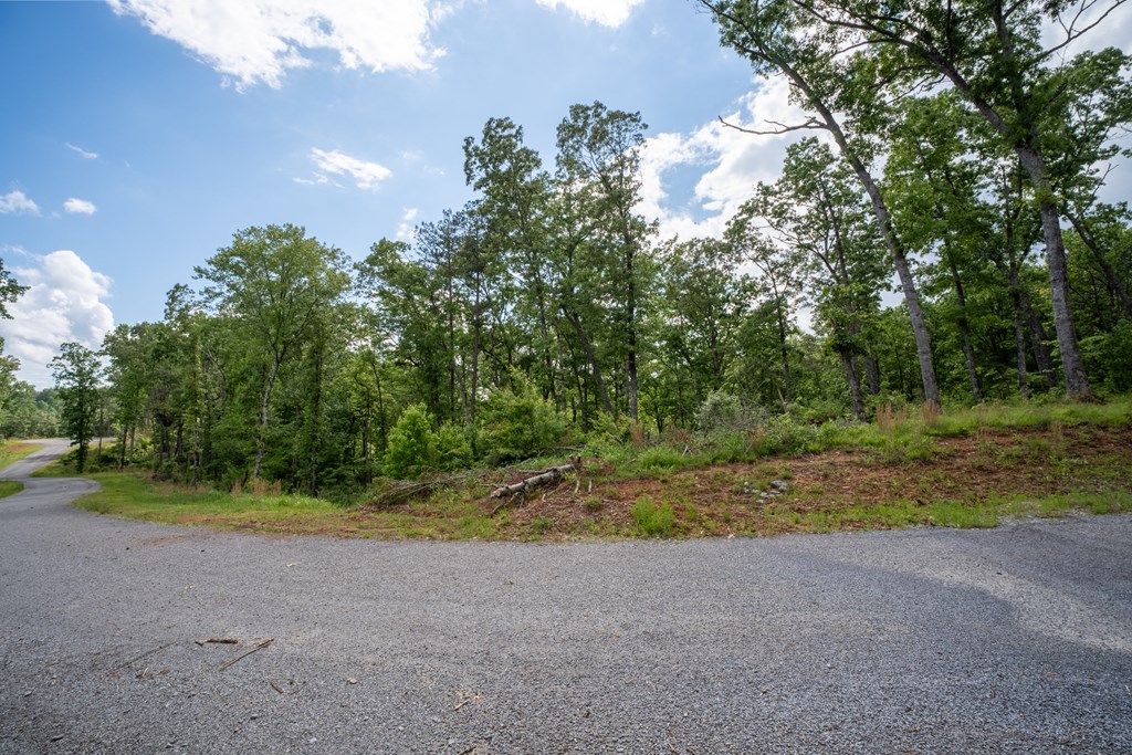 403940 Ellijay Land