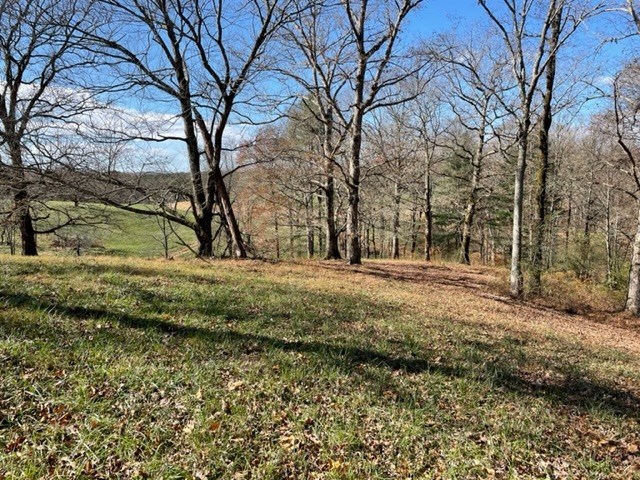 403950 Ellijay Land